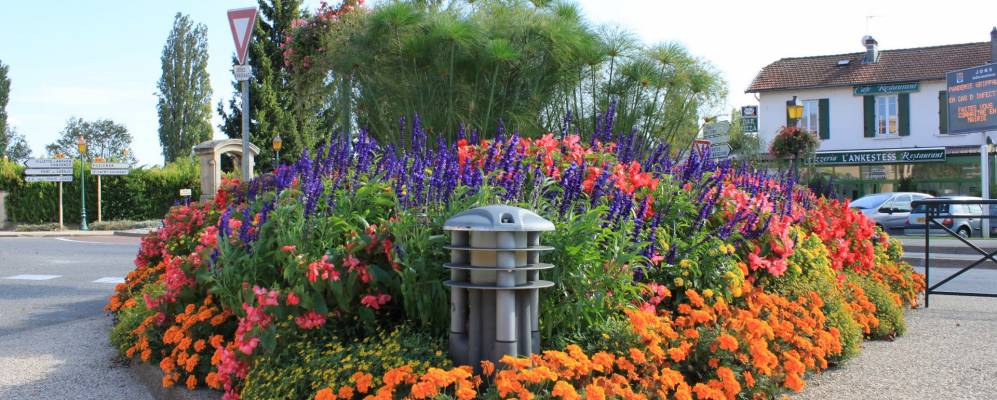 
            Фотография Жонса