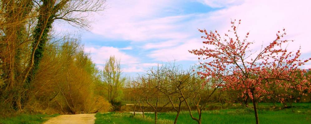 
            Фотография Кортес-де-Баса