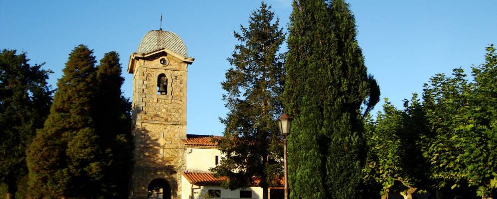 
            Фотография Вионьо