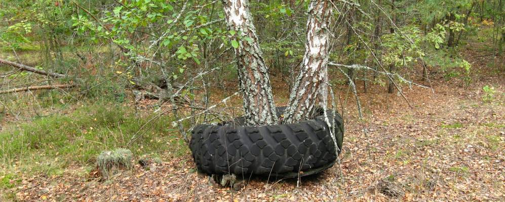 Фотография Октября