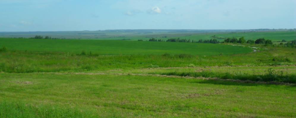 
            Фотография Кумино