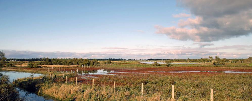 
            Фотография Арс-ан-Ре