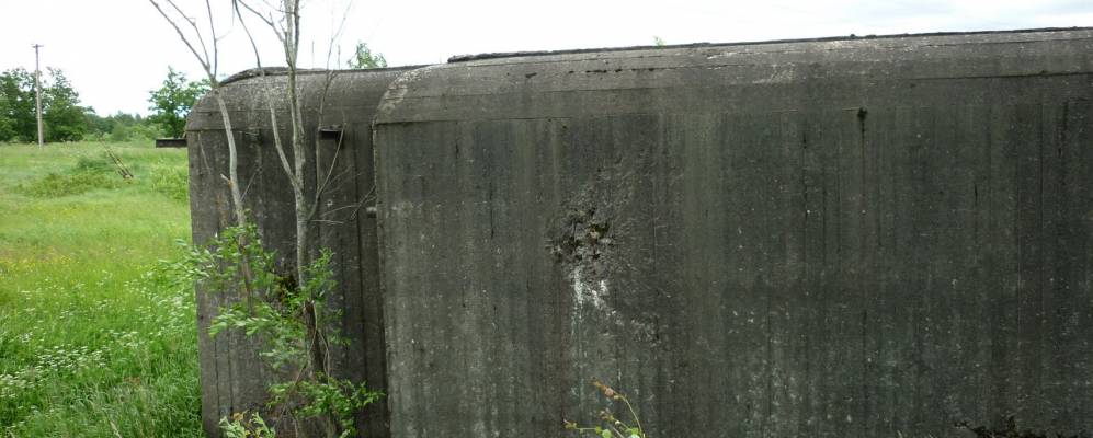 
            Фотография Зорино