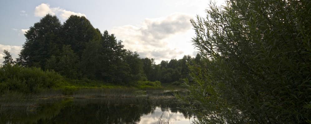 
            Фотография Подвязья