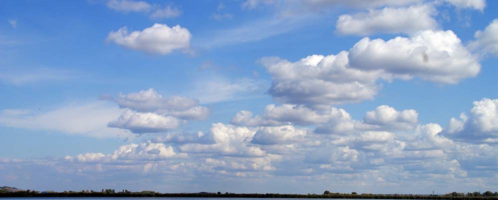 Фотография Лофицкого