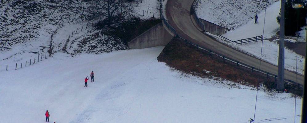 
            Фотография Пихль