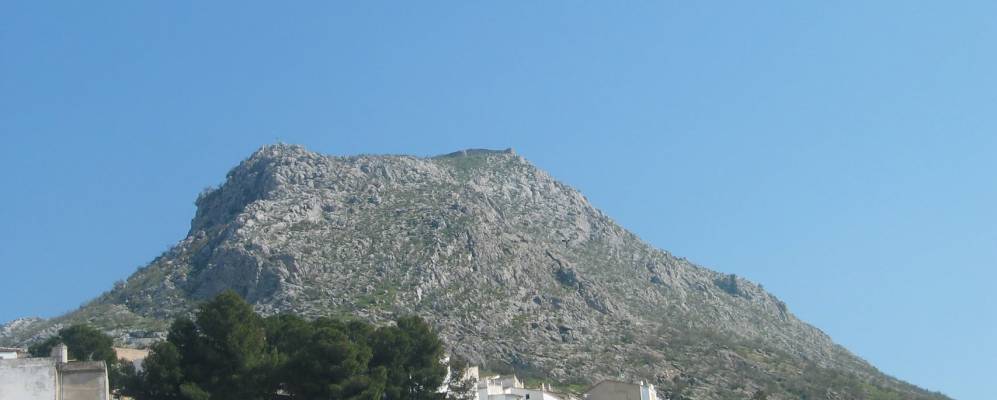 Фотография Мартоса