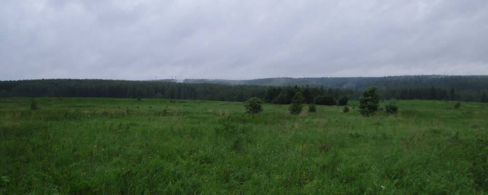 
            Фотография Алексеево