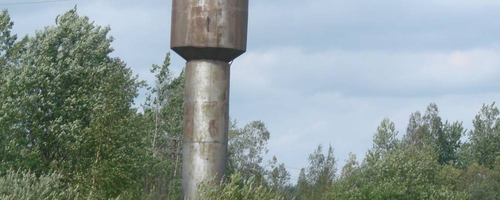 
            Фотография Гороховища