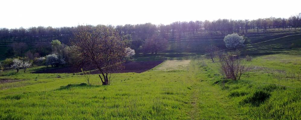 
            Фотография Днепрового