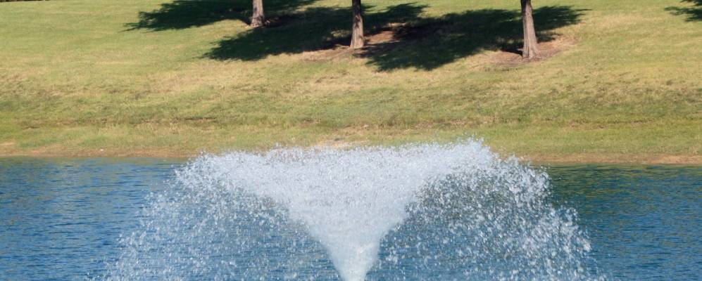 
            Фотография Коппелла