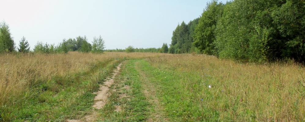 
            Фотография Мосалей