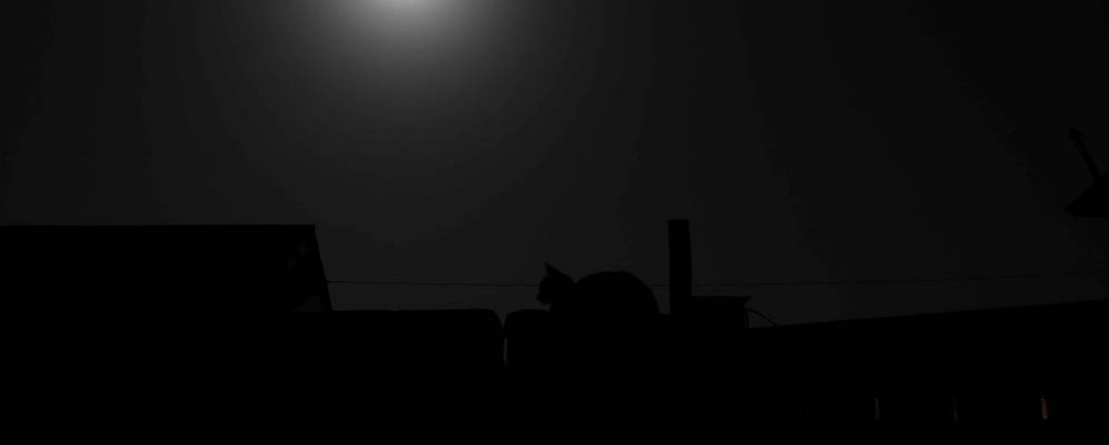 
            Фотография Хазара