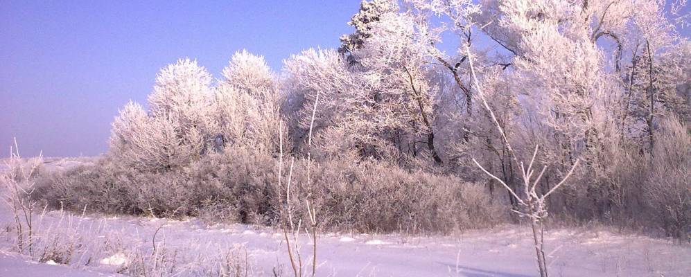 
            Фотография Бригадирово