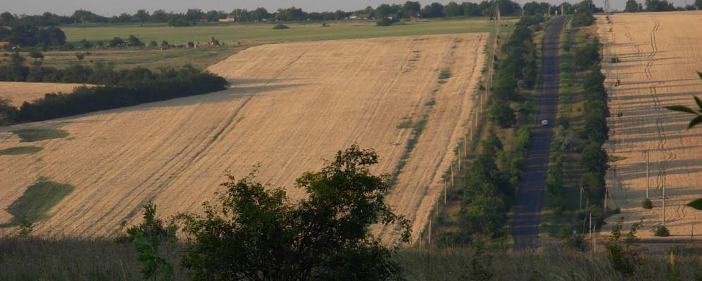 
            Фотография Новоалександровки