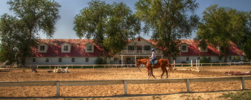 
            Фотография Лэйтона