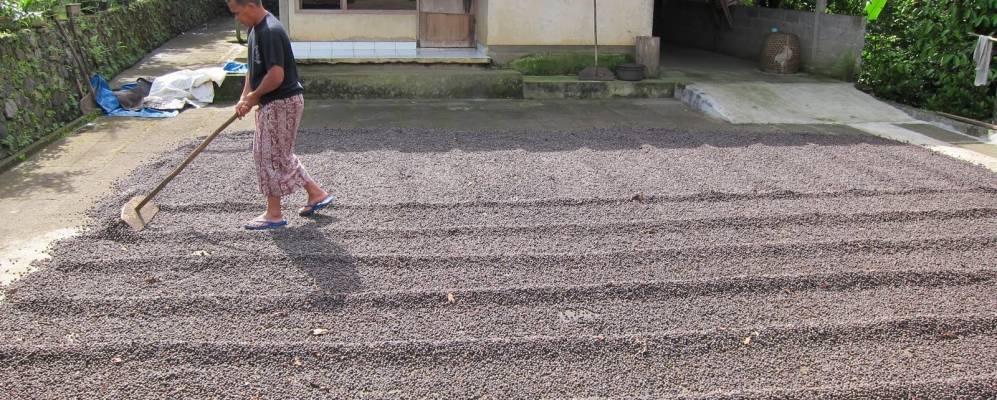 
            Фотография Gobleg