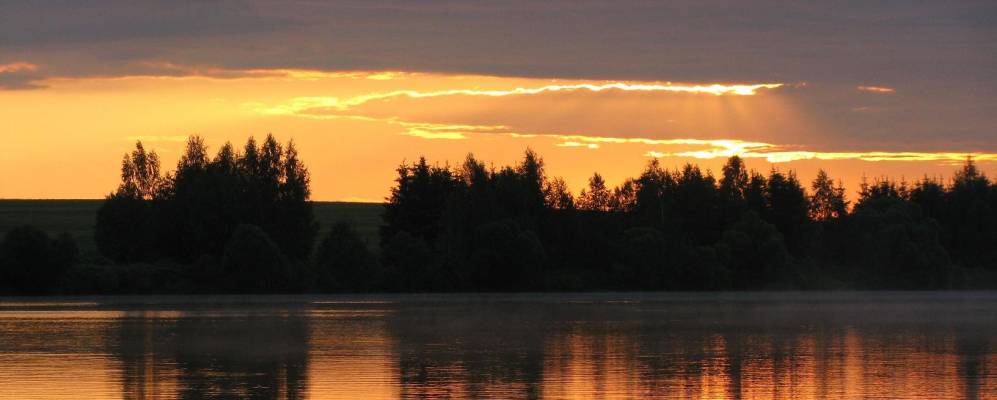 
            Фотография Редишено