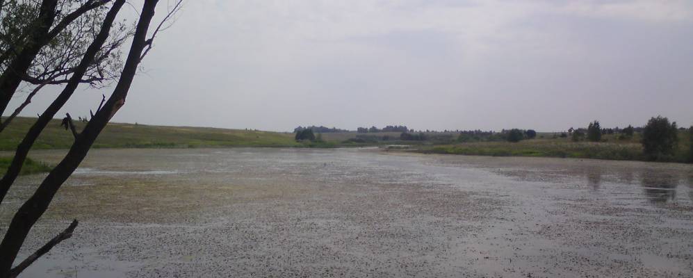 
            Фотография Пашково