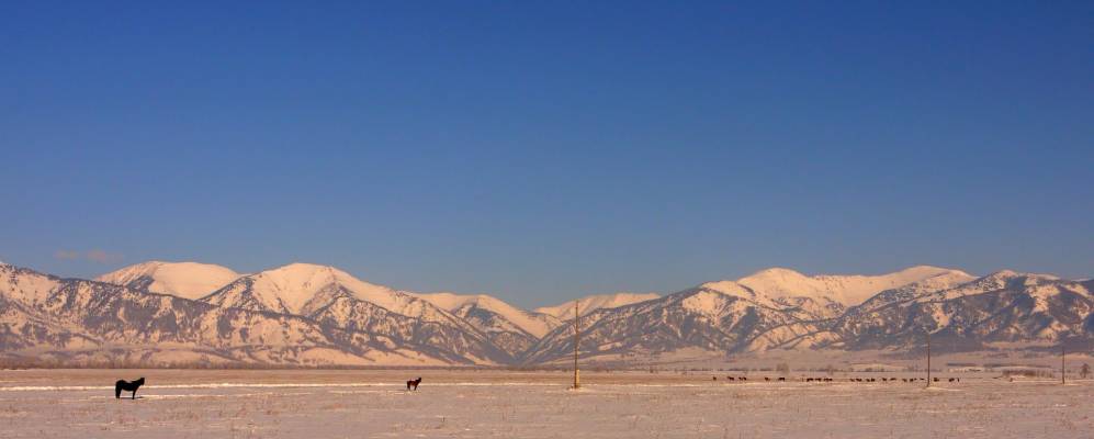 
            Фотография Полеводки