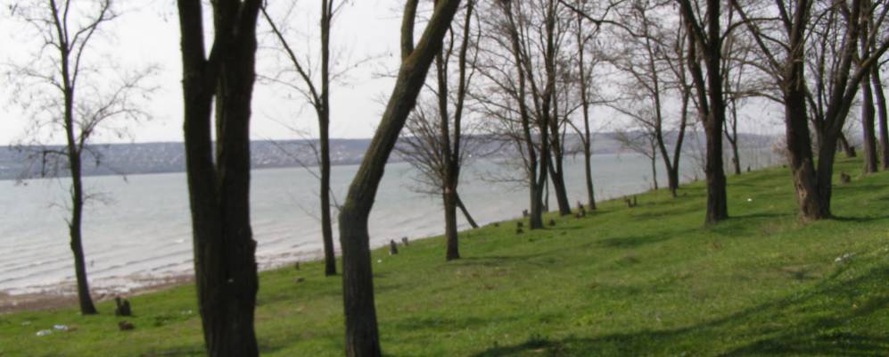 
            Фотография Черняховского