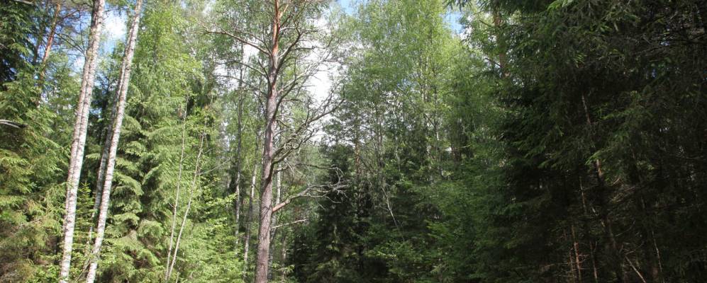 
            Фотография Высоцкого