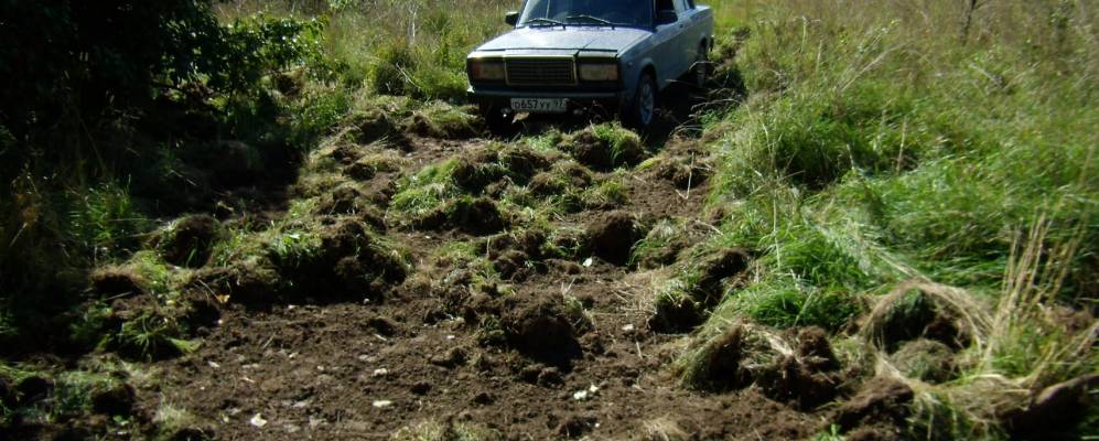 
            Фотография Шиповки