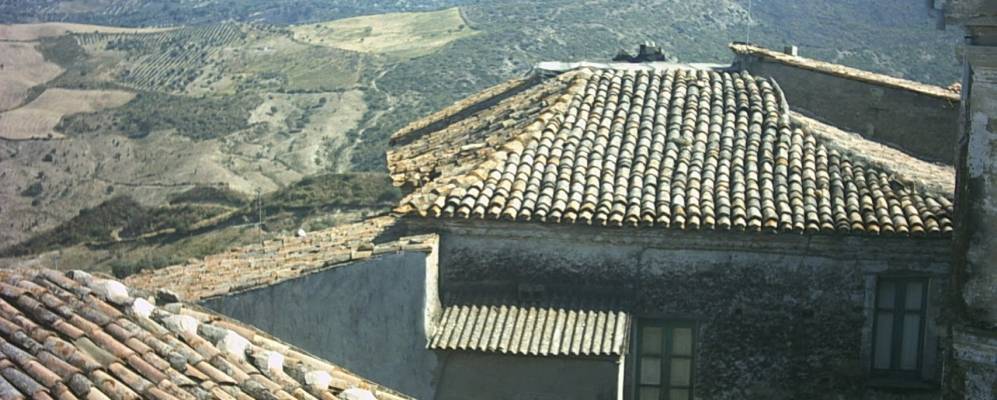 
            Фотография Крозии