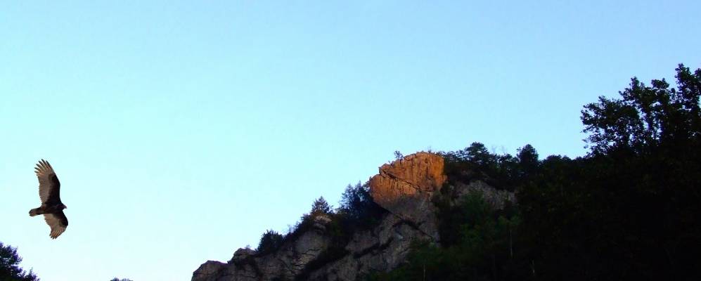 
            Фотография Пеннингтон Гепа