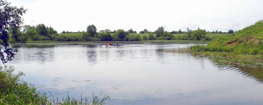 
            Фотография Донцово