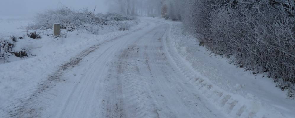 
            Фотография Рисзеби