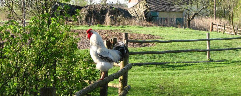 
            Фотография Светлого