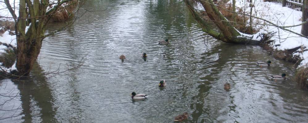 
            Фотография Итон Ревута