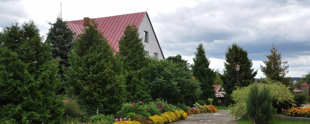 
            Фотография Василишков