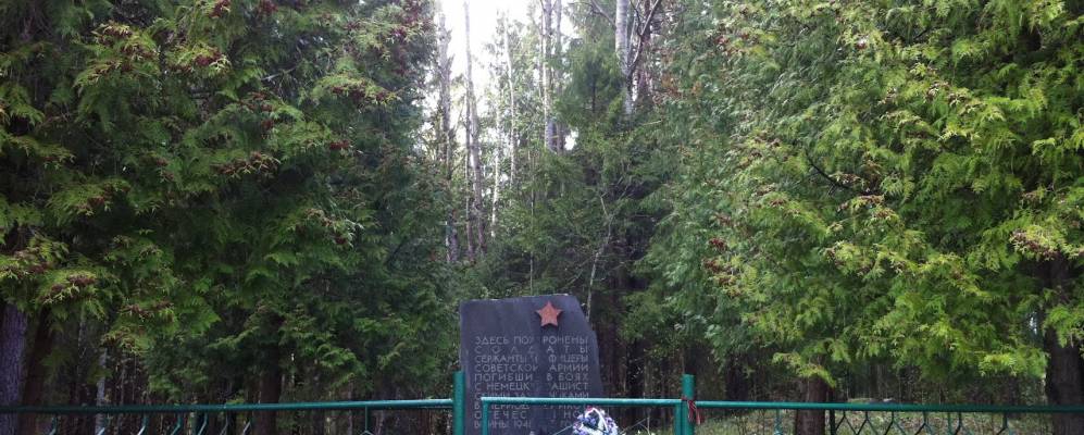 
            Фотография Зайцево