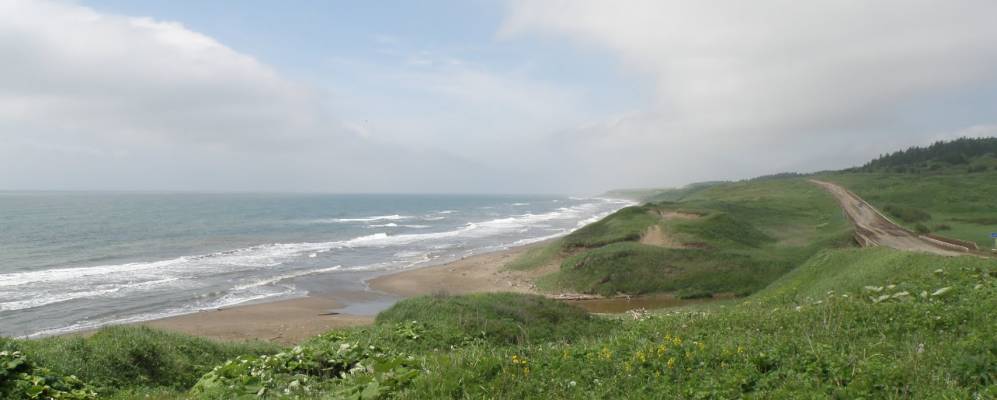 
            Фотография Белинского