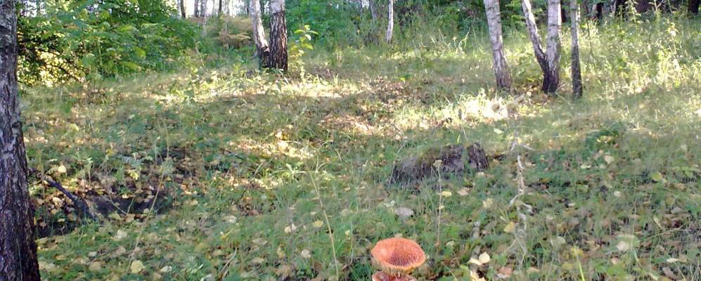 Фотография Большого Гостево