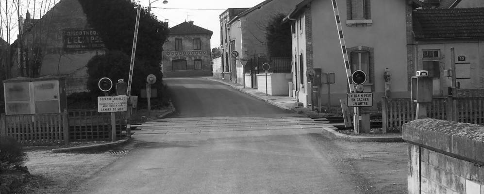 
            Фотография Матуга