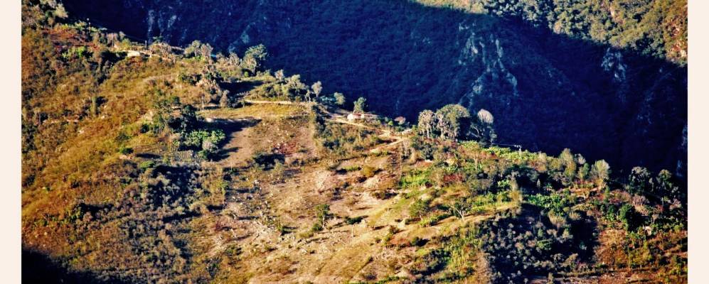 
            Фотография Эхидла