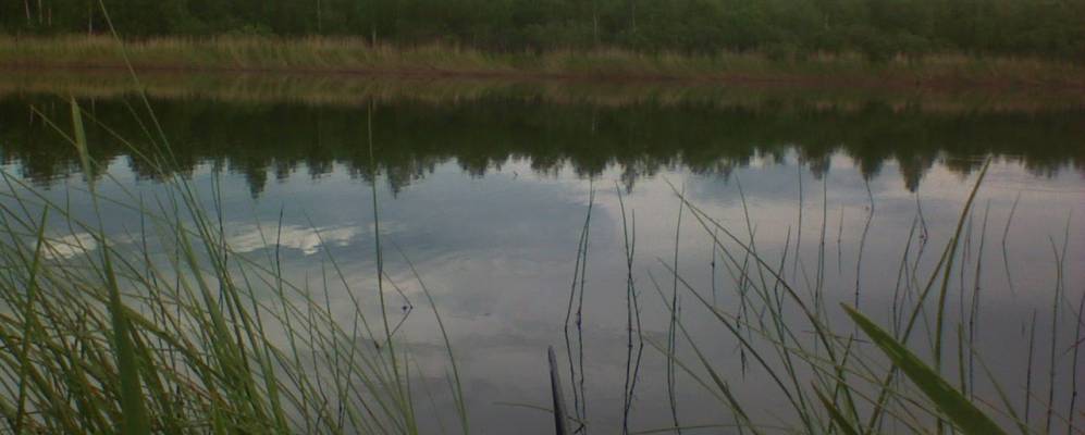 
            Фотография Васильевки