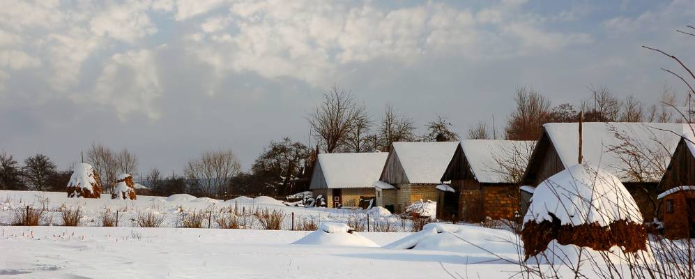 
            Фотография Демидова