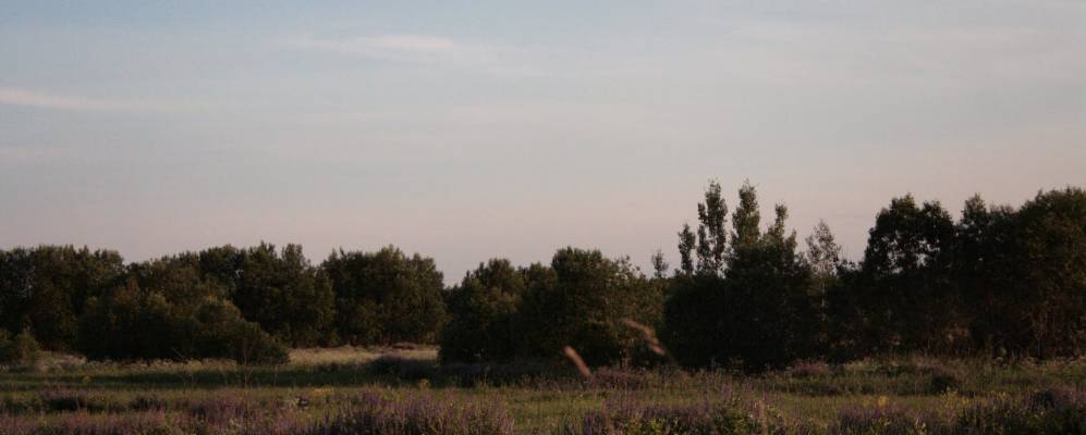 Фотография деревни Стаи