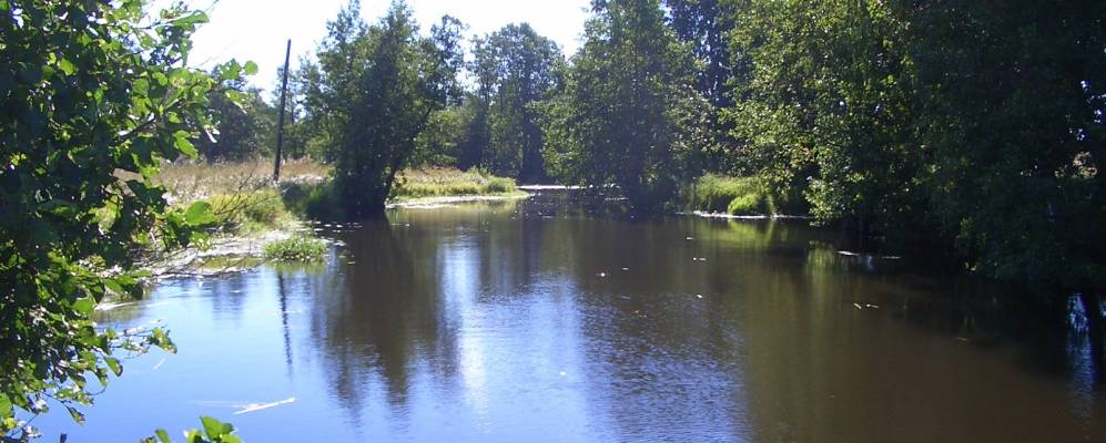 
            Фотография Корсаково