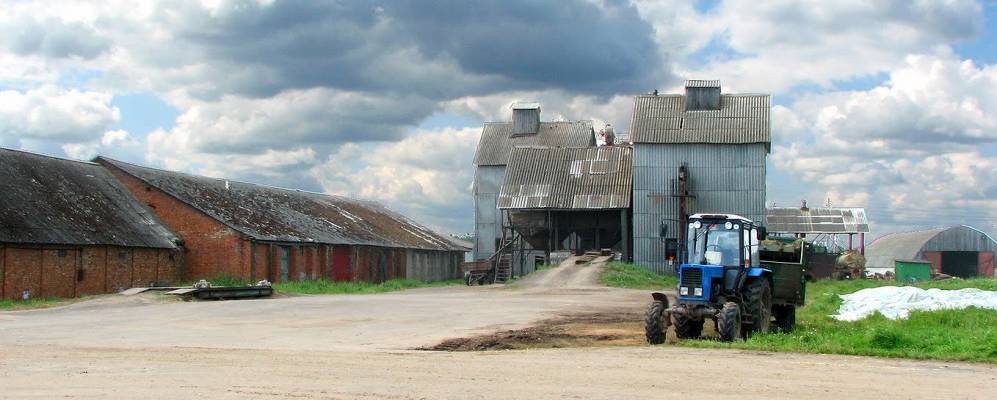 Фотография Курополья