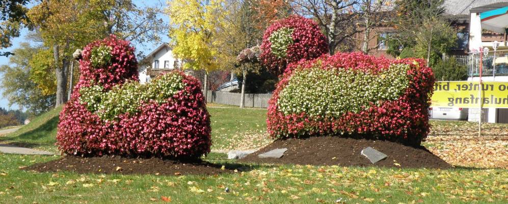 
            Фотография Шлухзее