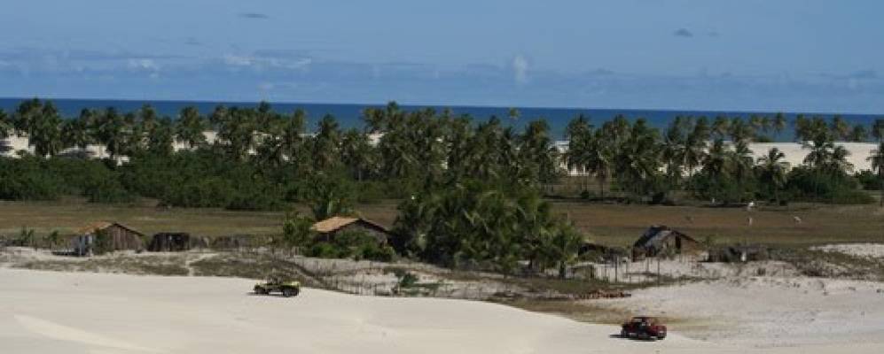 
            Фотография Mangue Sêco