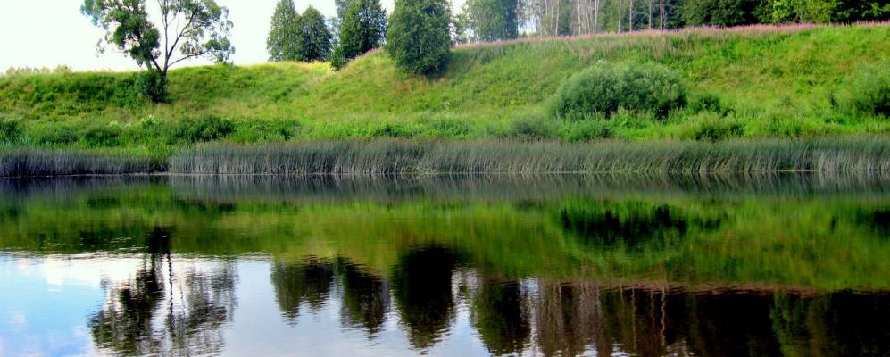 
            Фотография Приселья