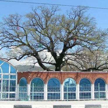 Кирриловка