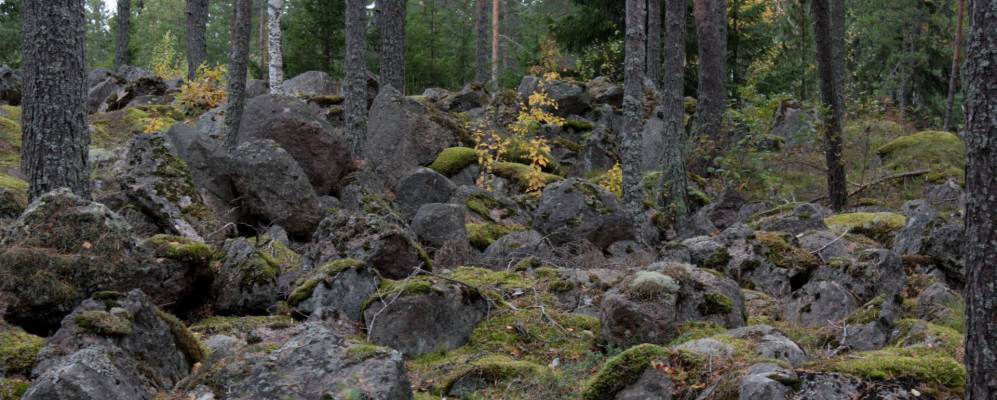 
            Фотография Анялы