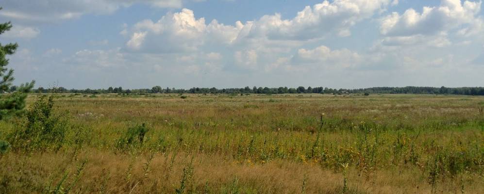 
            Фотография Виши